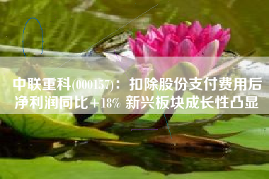 中联重科(000157)：扣除股份支付费用后净利润同比+18% 新兴板块成长性凸显
