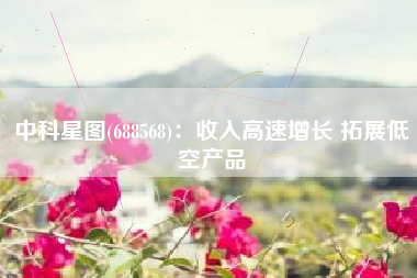 中科星图(688568)：收入高速增长 拓展低空产品
