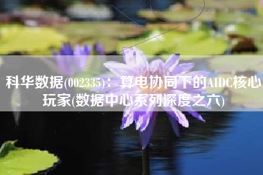 科华数据(002335)：算电协同下的AIDC核心玩家(数据中心系列深度之六)