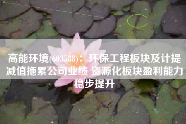高能环境(603588)：环保工程板块及计提减值拖累公司业绩 资源化板块盈利能力稳步提升