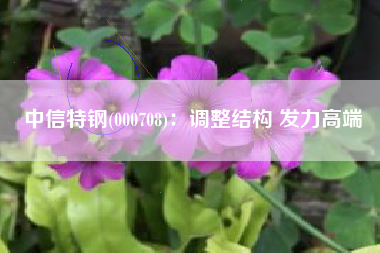 中信特钢(000708)：调整结构 发力高端