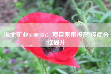 淮北矿业(600985)：项目密集投产 保底分红提升