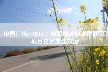 中国广核(003816)：电量增长业绩稳健 新项目充足加速投运
