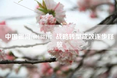 中国银河(601881)：战略转型成效逐步释放
