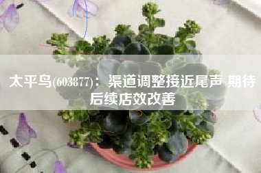 太平鸟(603877)：渠道调整接近尾声 期待后续店效改善