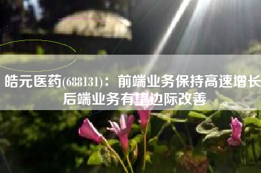 皓元医药(688131)：前端业务保持高速增长 后端业务有望边际改善