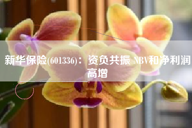 新华保险(601336)：资负共振 NBV和净利润高增