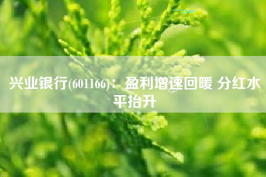 兴业银行(601166)：盈利增速回暖 分红水平抬升