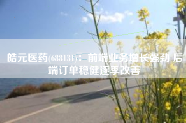 皓元医药(688131)：前端业务增长强劲 后端订单稳健逐季改善