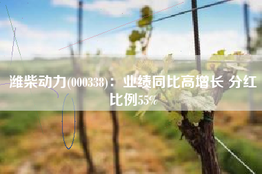 潍柴动力(000338)：业绩同比高增长 分红比例55%
