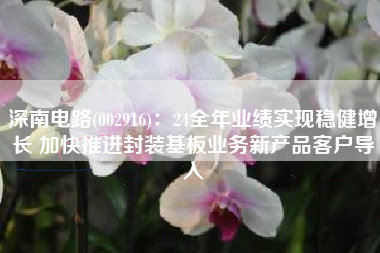 深南电路(002916)：24全年业绩实现稳健增长 加快推进封装基板业务新产品客户导入