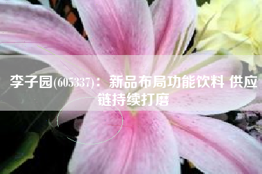 李子园(605337)：新品布局功能饮料 供应链持续打磨