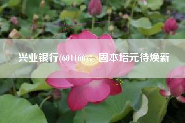 兴业银行(601166)：固本培元待焕新