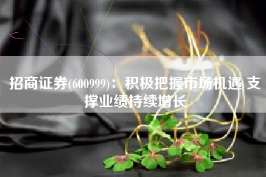 招商证券(600999)：积极把握市场机遇 支撑业绩持续增长