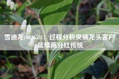 雪迪龙(002658)：过程分析突破龙头客户 延续高分红传统
