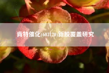 肯特催化(603120)新股覆盖研究