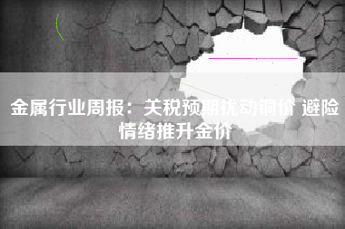 金属行业周报：关税预期扰动铜价 避险情绪推升金价