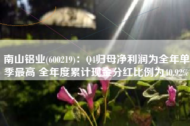 南山铝业(600219)：Q4归母净利润为全年单季最高 全年度累计现金分红比例为40.92%