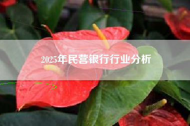 2025年民营银行行业分析