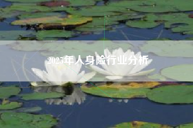 2025年人身险行业分析