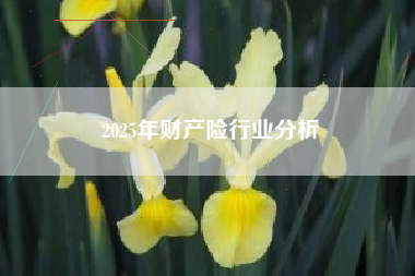 2025年财产险行业分析