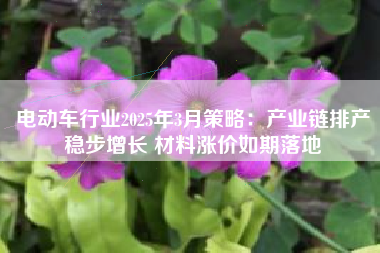 电动车行业2025年3月策略：产业链排产稳步增长 材料涨价如期落地