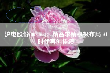 沪电股份(002463)：精益求精积极布局 AI时代再创佳绩