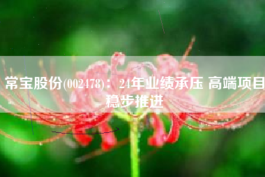 常宝股份(002478)：24年业绩承压 高端项目稳步推进