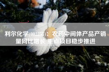 利尔化学(002258)：农药中间体产品产销量同比增长 重点项目稳步推进