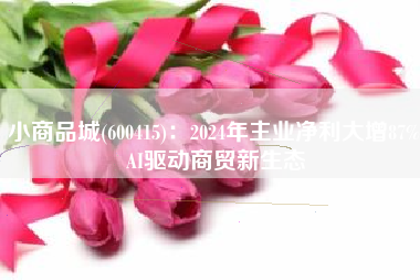 小商品城(600415)：2024年主业净利大增87% AI驱动商贸新生态