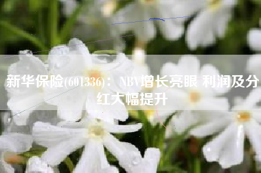 新华保险(601336)：NBV增长亮眼 利润及分红大幅提升
