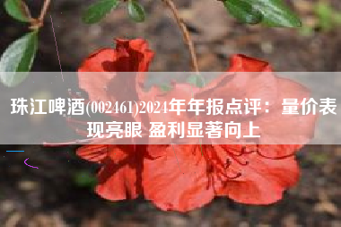 珠江啤酒(002461)2024年年报点评：量价表现亮眼 盈利显著向上