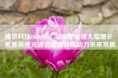 腾景科技(688195)：24全年业绩大幅增长 聚焦高速光通信提质升级助力未来发展