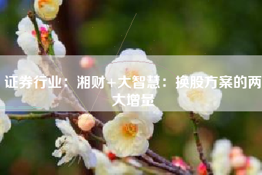 证券行业：湘财+大智慧：换股方案的两大增量