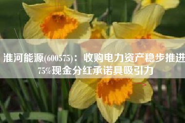 淮河能源(600575)：收购电力资产稳步推进 75%现金分红承诺具吸引力