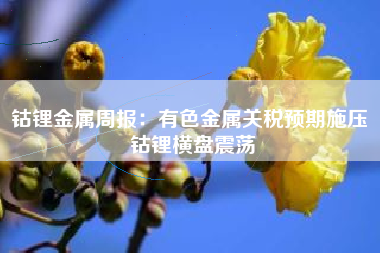 钴锂金属周报：有色金属关税预期施压 钴锂横盘震荡