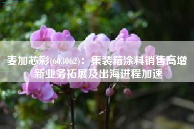 麦加芯彩(603062)：集装箱涂料销售高增 新业务拓展及出海进程加速
