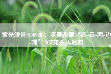 紫光股份(000938)：深度布局“芯-云-网-边-端” ICT龙头再启航