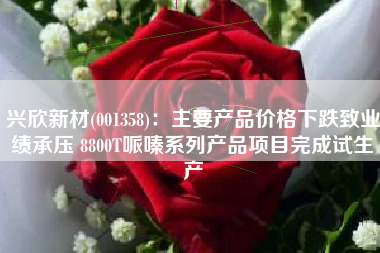 兴欣新材(001358)：主要产品价格下跌致业绩承压 8800T哌嗪系列产品项目完成试生产