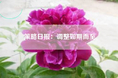 策略日报：调整如期而至
