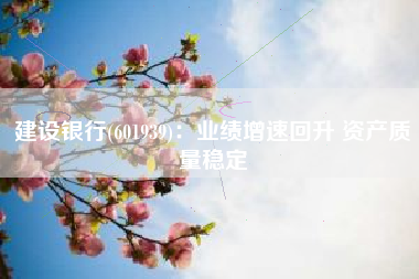 建设银行(601939)：业绩增速回升 资产质量稳定