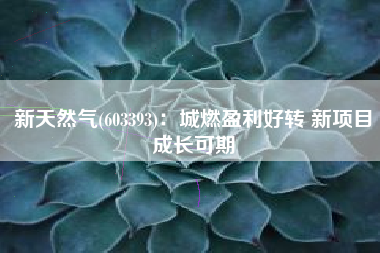 新天然气(603393)：城燃盈利好转 新项目成长可期