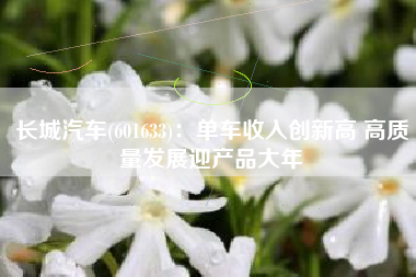 长城汽车(601633)：单车收入创新高 高质量发展迎产品大年