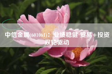 中信金属(601061)：业绩稳健 贸易+投资双轮驱动