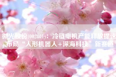 微光股份(002801)：冷链电机产能释放提速 布局“人形机器人+深海科技”新赛道