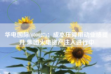 华电国际(600027)：成本压降带动业绩提升 集团火电资产注入进行中