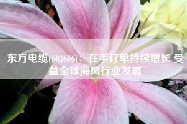 东方电缆(603606)：在手订单持续增长 受益全球海风行业发展