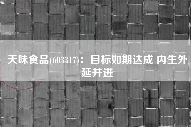 天味食品(603317)：目标如期达成 内生外延并进