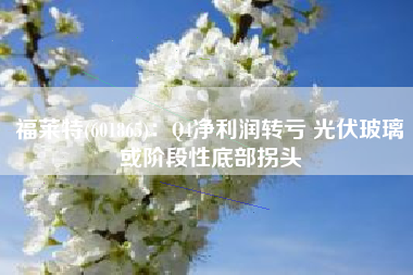 福莱特(601865)：Q4净利润转亏 光伏玻璃或阶段性底部拐头