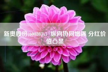 新奥股份(600803)：纵向协同增强 分红价值凸显